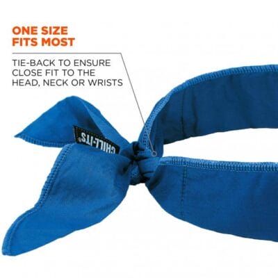 Ergodyne Chill-Its 6702 Cooling Bandana